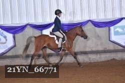 21YN_66771 proof