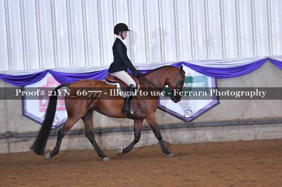 Proof 21YN_66777