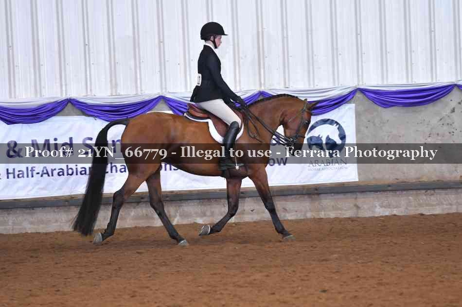 Proof 21YN_66779