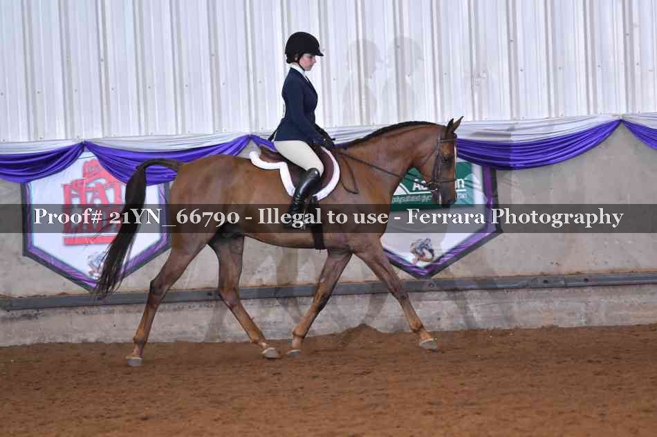 Proof 21YN_66790