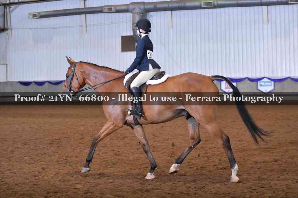 Proof 21YN_66800