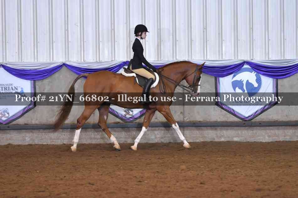 Proof 21YN_66802