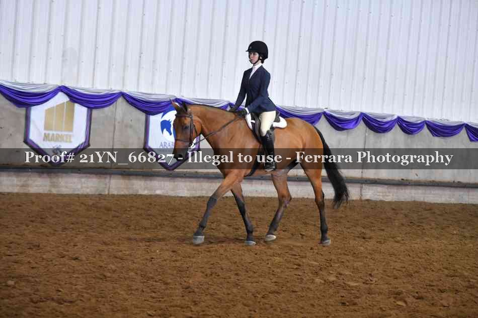 Proof 21YN_66827