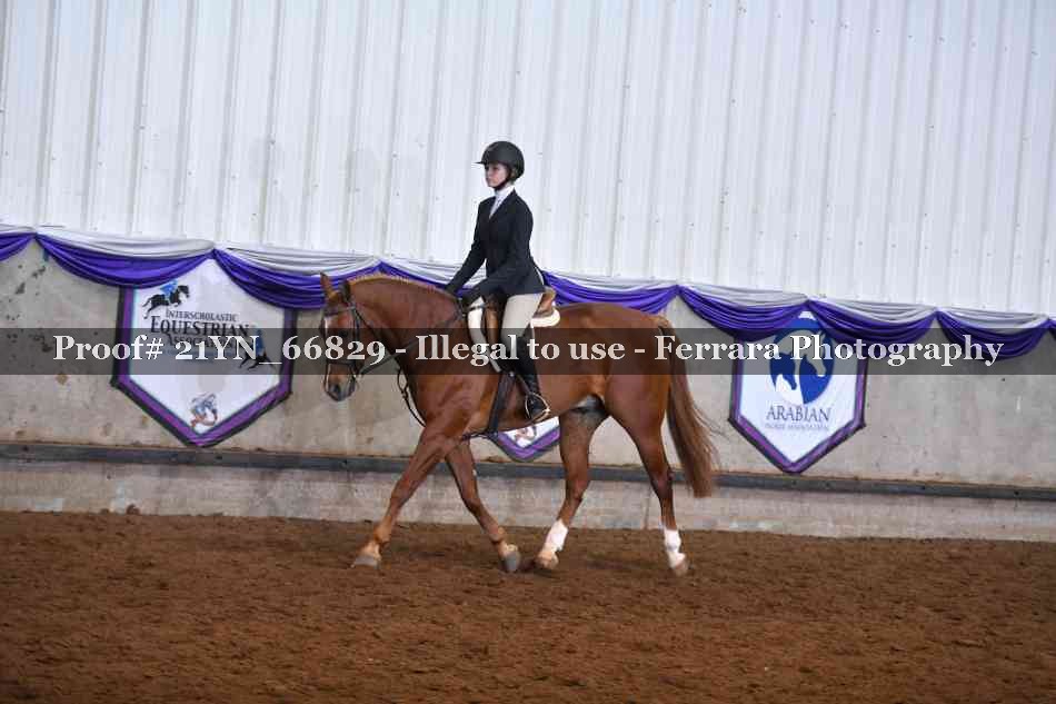 Proof 21YN_66829