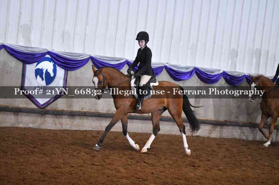 Proof 21YN_66832