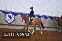 21YN_66832 proof