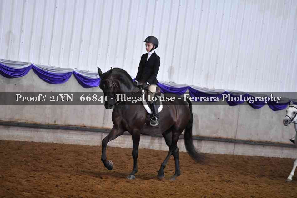 Proof 21YN_66841