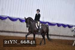 21YN_66841 proof