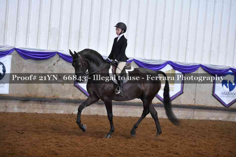 Proof 21YN_66843