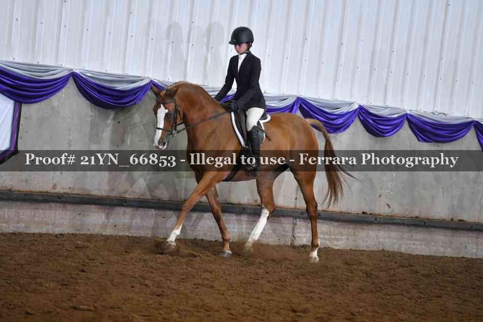 Proof 21YN_66853