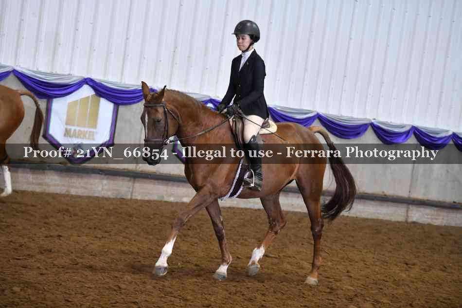 Proof 21YN_66854