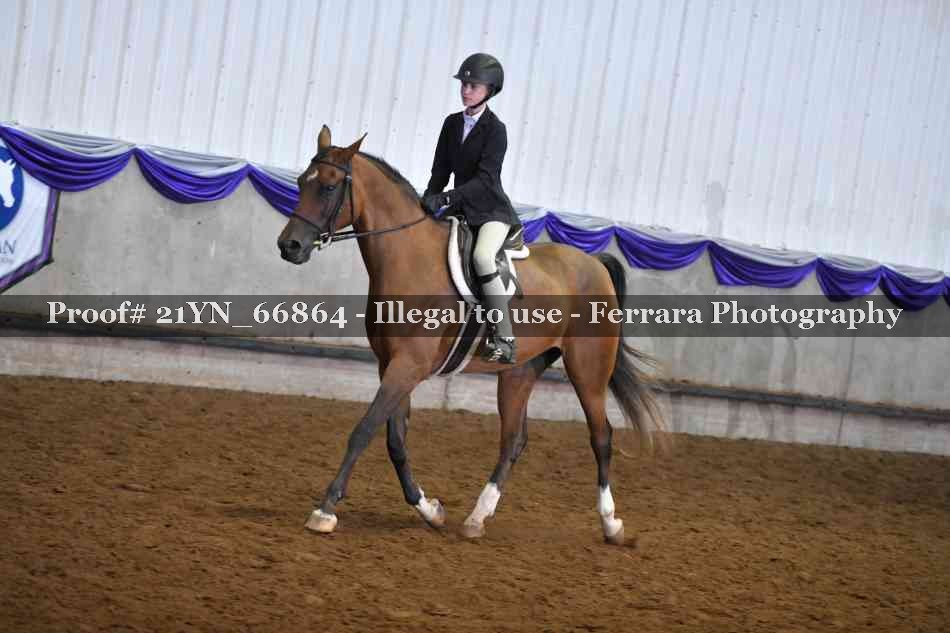 Proof 21YN_66864