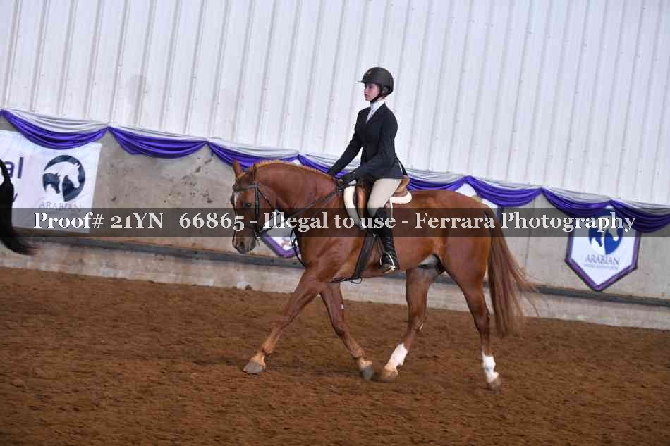 Proof 21YN_66865