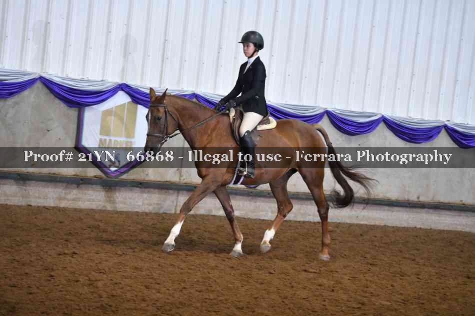 Proof 21YN_66868