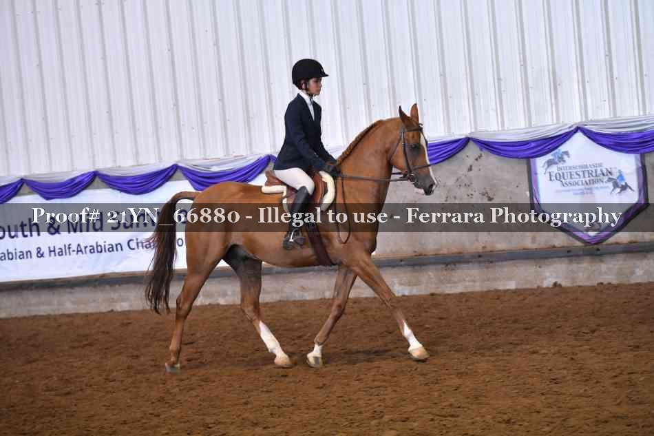 Proof 21YN_66880