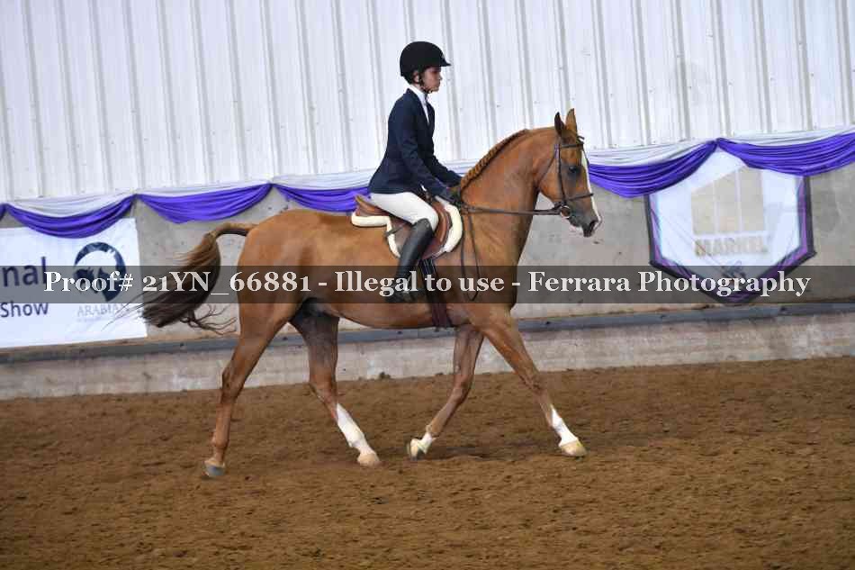 Proof 21YN_66881