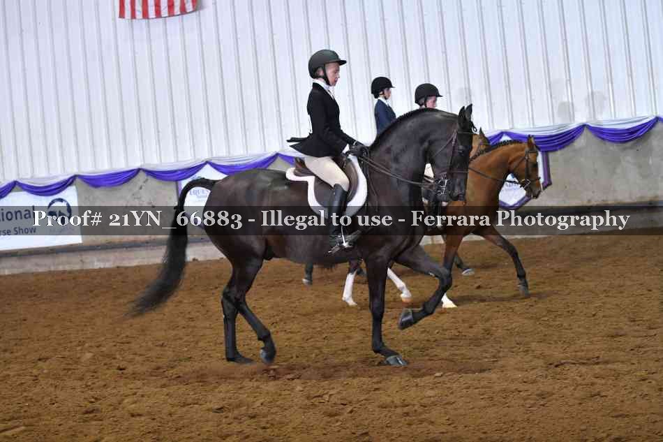 Proof 21YN_66883