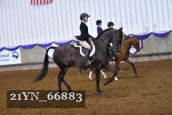 21YN_66883 proof