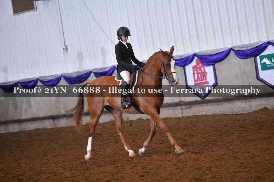 Proof 21YN_66888