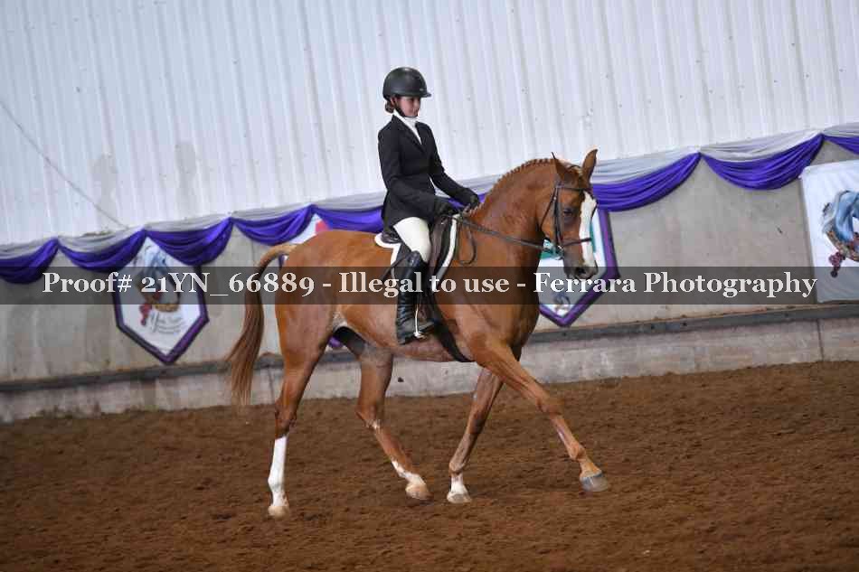 Proof 21YN_66889