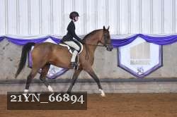 21YN_66894 proof