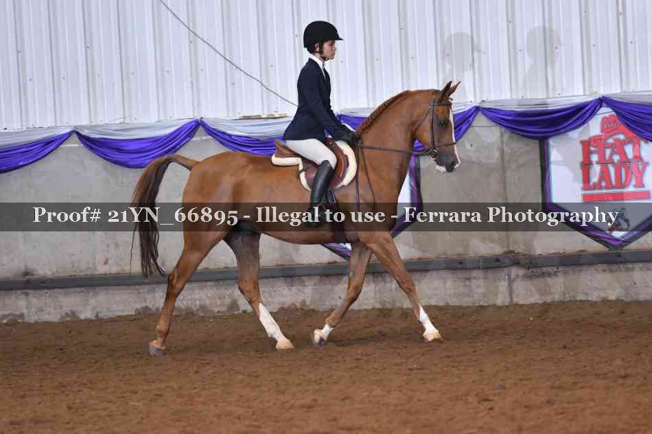 Proof 21YN_66895