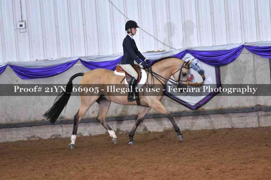 Proof 21YN_66905