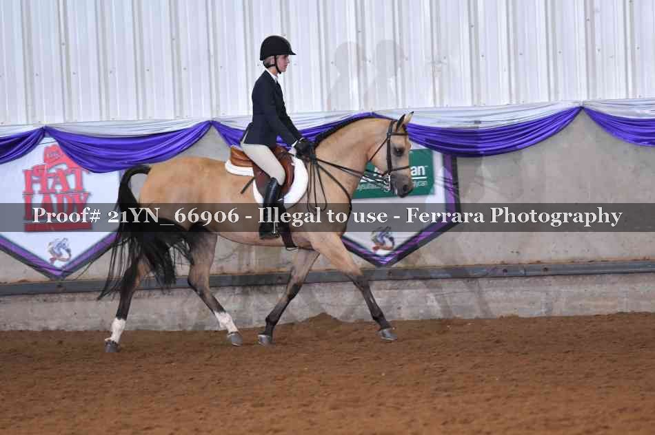 Proof 21YN_66906