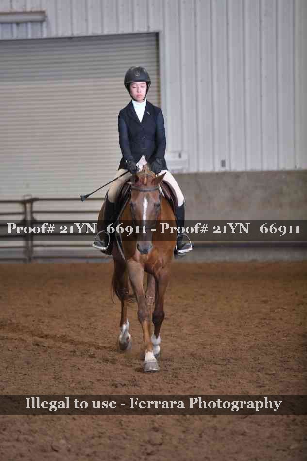 Proof 21YN_66911