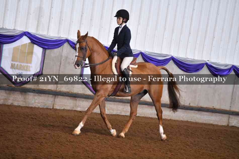 Proof 21YN_69822