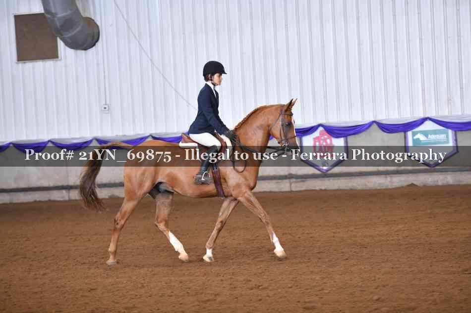 Proof 21YN_69875
