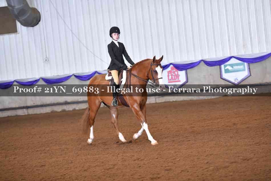 Proof 21YN_69883