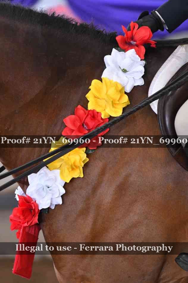 Proof 21YN_69960