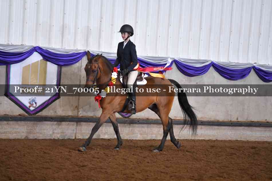 Proof 21YN_70005