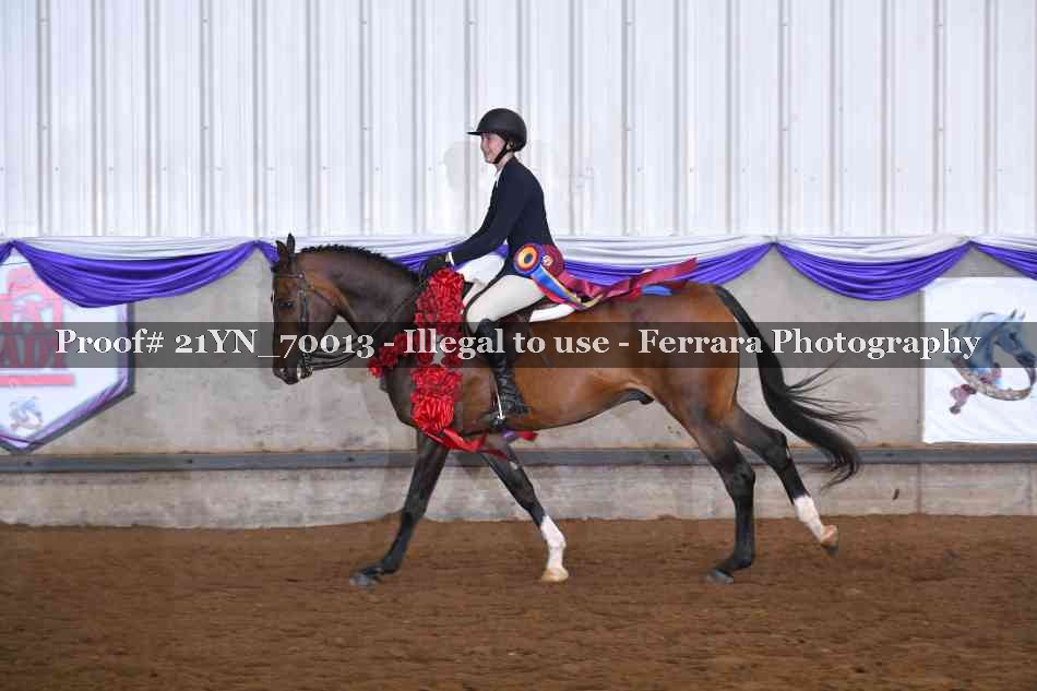 Proof 21YN_70013