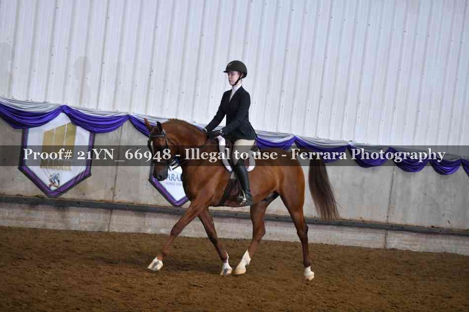 Proof 21YN_66948