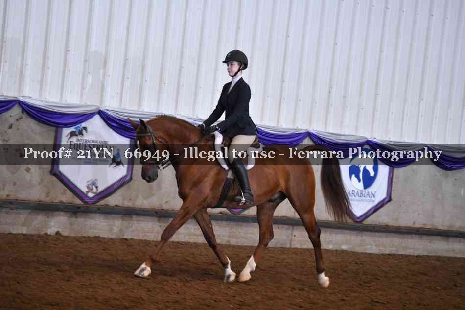 Proof 21YN_66949