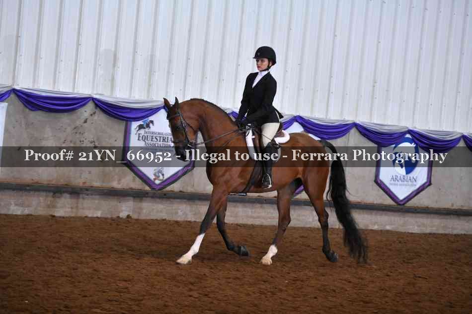 Proof 21YN_66952