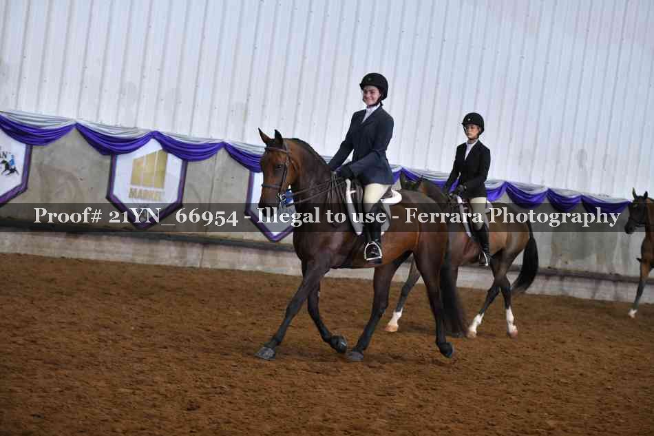 Proof 21YN_66954