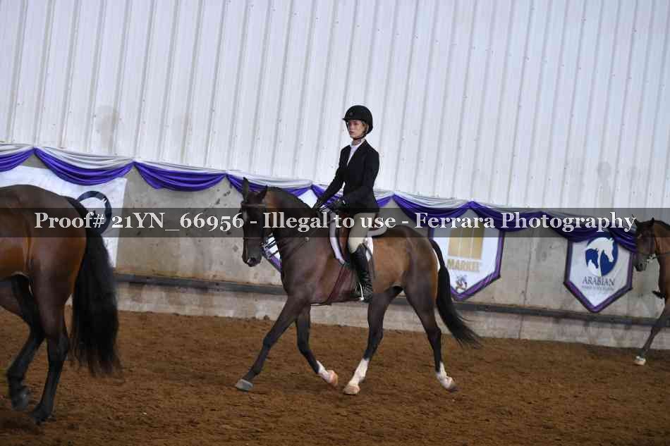 Proof 21YN_66956