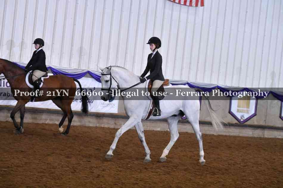 Proof 21YN_66960