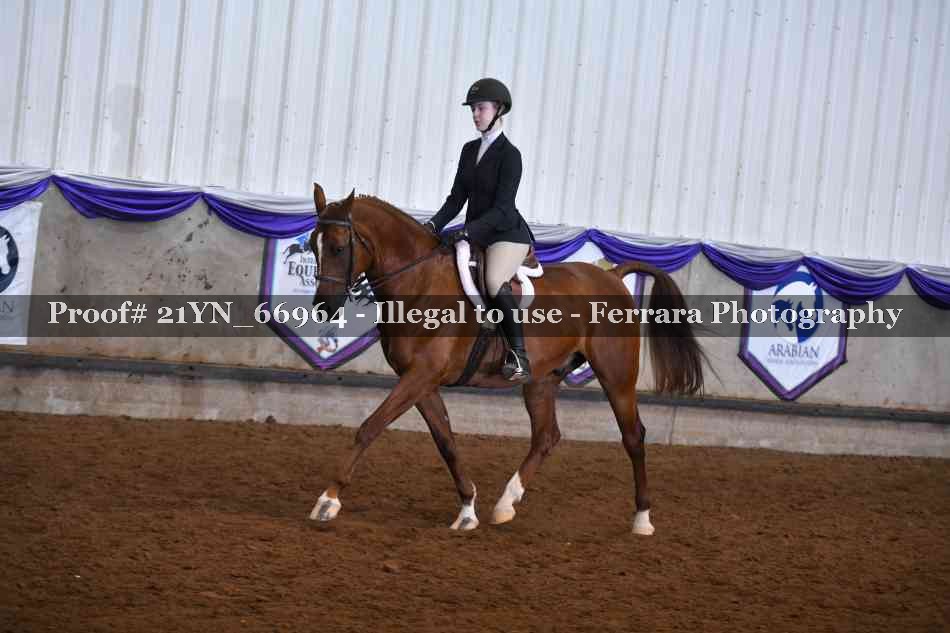 Proof 21YN_66964