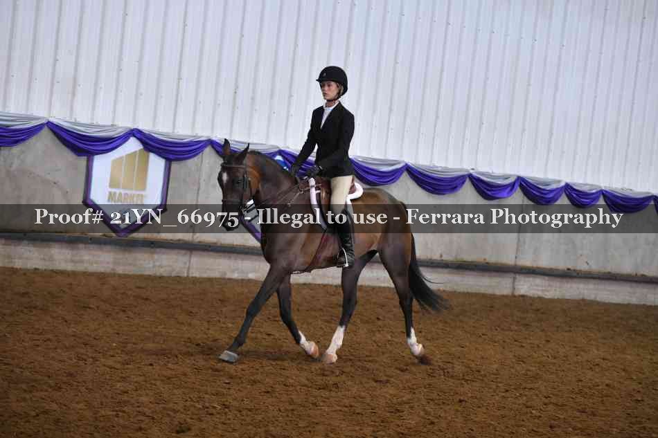 Proof 21YN_66975