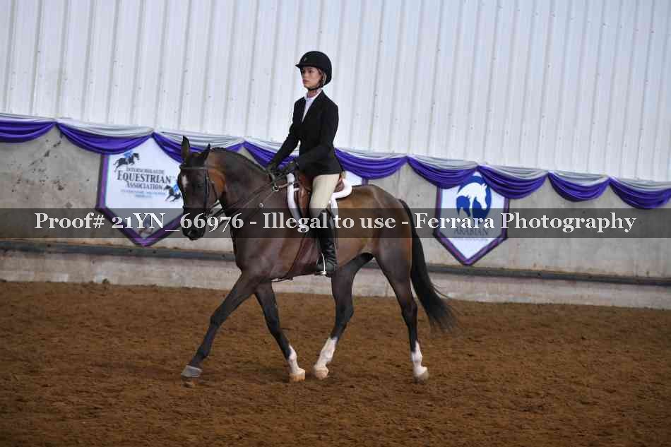 Proof 21YN_66976