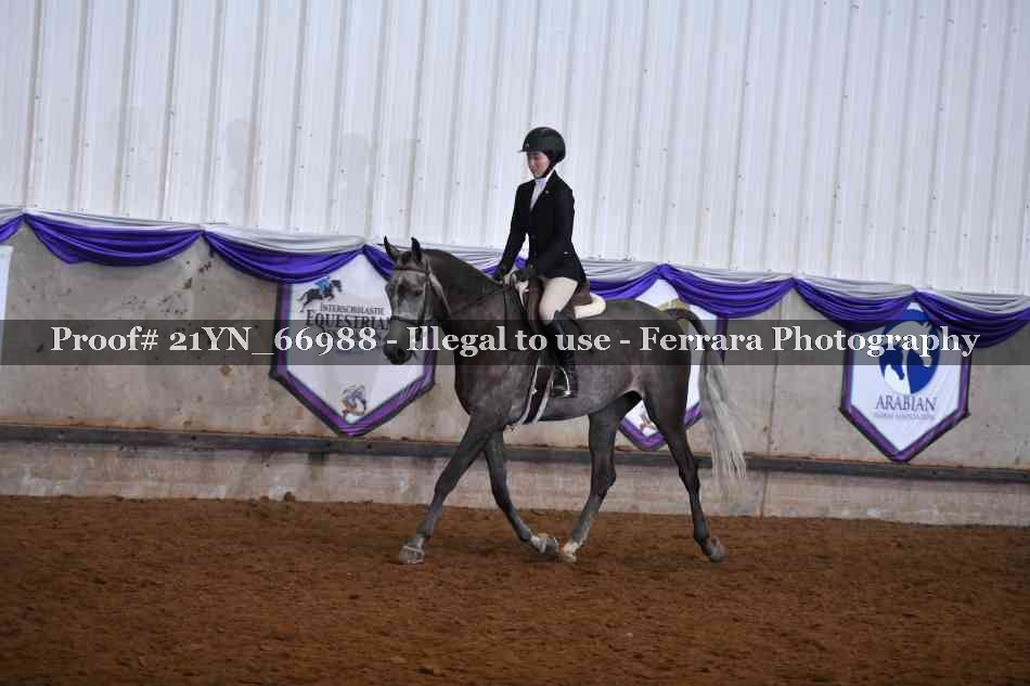 Proof 21YN_66988