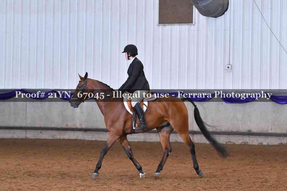 Proof 21YN_67045