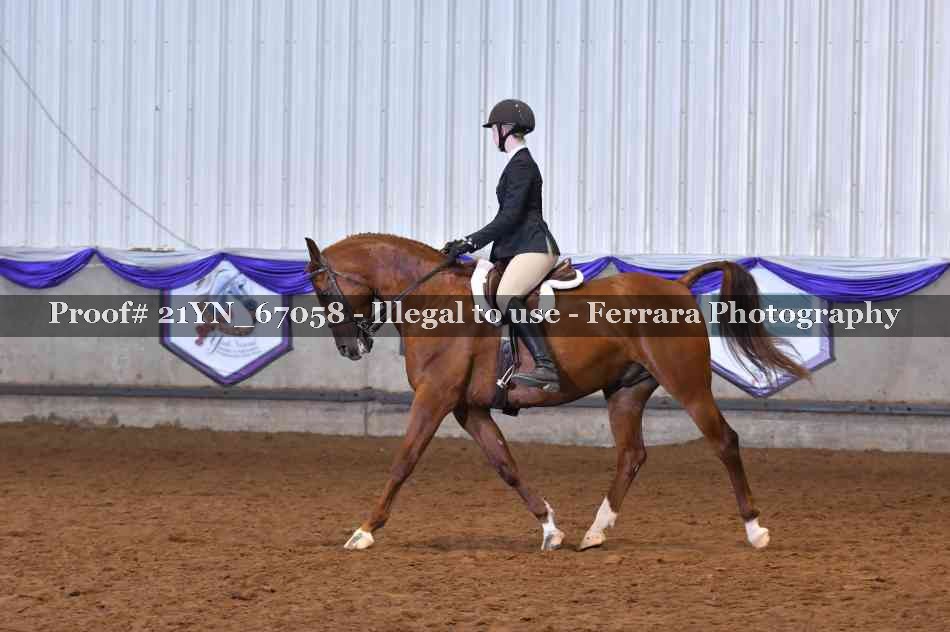 Proof 21YN_67058