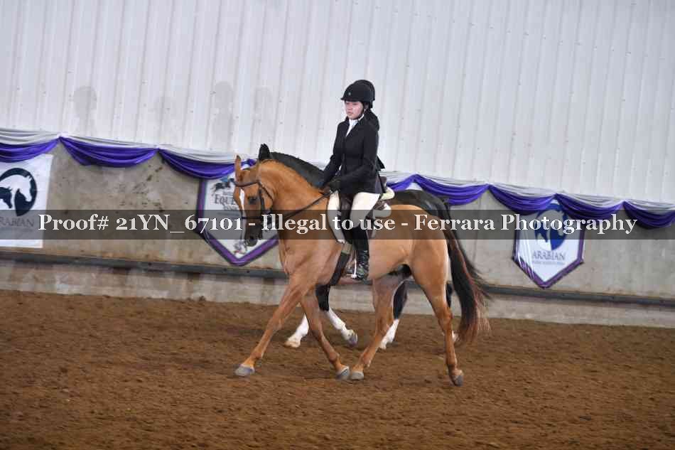 Proof 21YN_67101