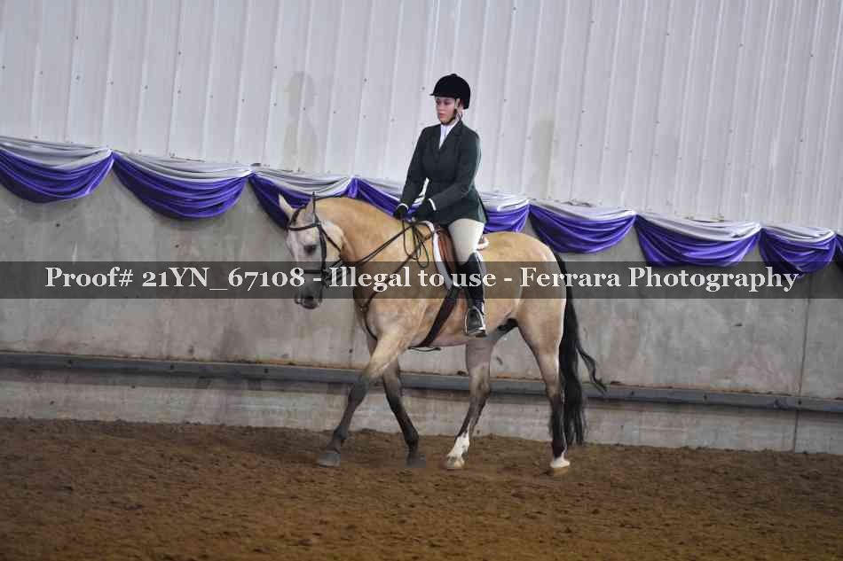 Proof 21YN_67108