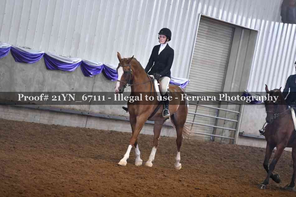 Proof 21YN_67111